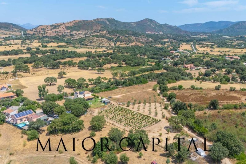 Terrain à bâtir à Loiri Porto San Paolo
