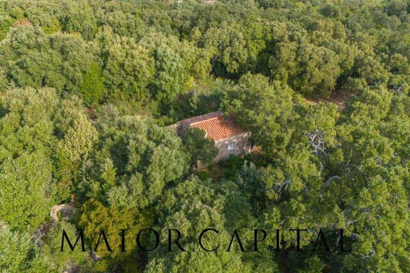 Agricultural land in Calangianus