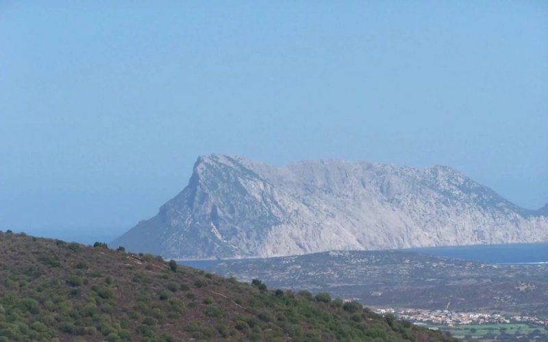 Landbouwgrond in San Teodoro