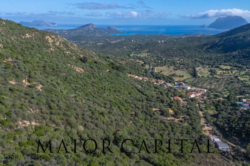 Terreno agricolo a Loiri Porto San Paolo