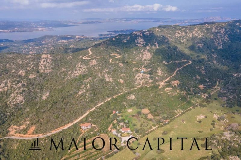Terreno agrícola en Arzachena