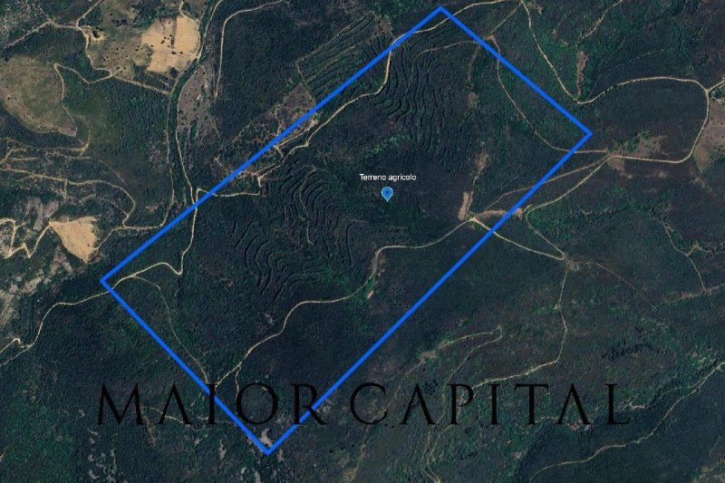 圣特奥多罗农用土地