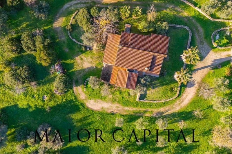 Moradia em Olbia
