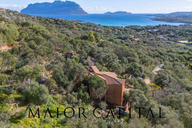 Villa a Olbia