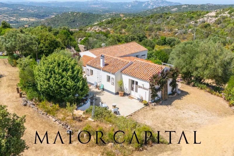 Villa in Olbia