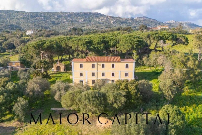 Casa indipendente a Luogosanto