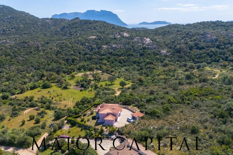 Villa in Olbia