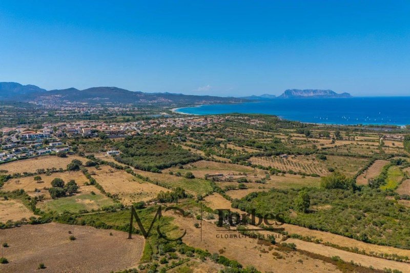 Terrain à bâtir à Budoni