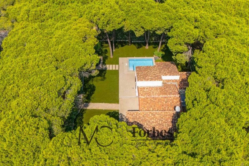 Villa in Budoni