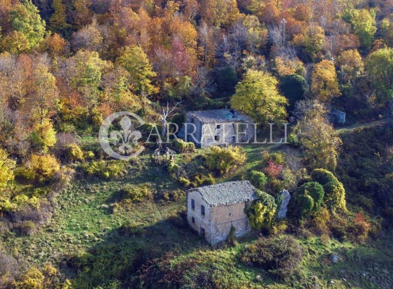 Farmhouse in Castiglione d'Orcia