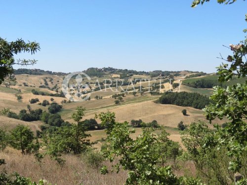 Terreno agrícola en Cinigiano