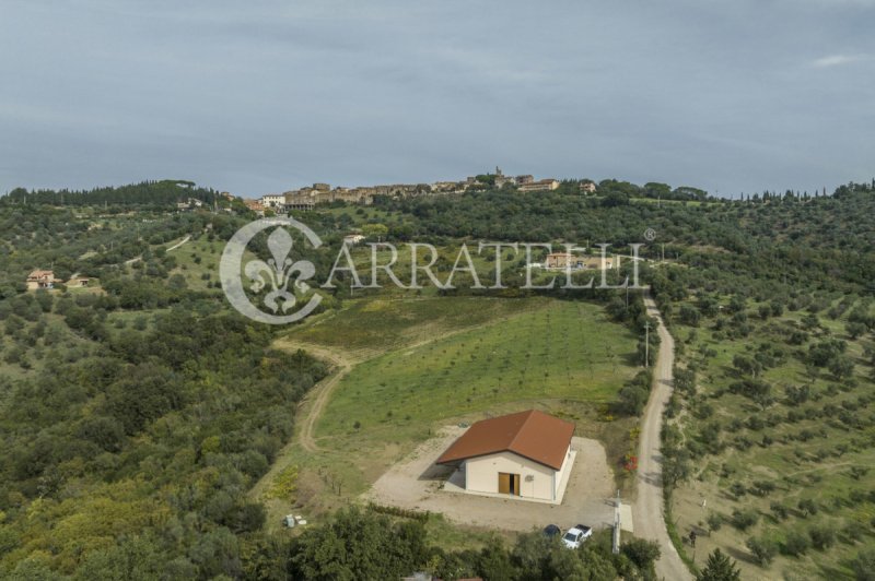 Quinta agrícola em Campagnatico