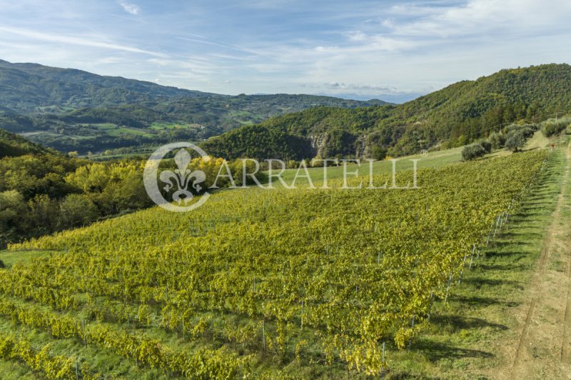 Azienda agricola a Montepulciano