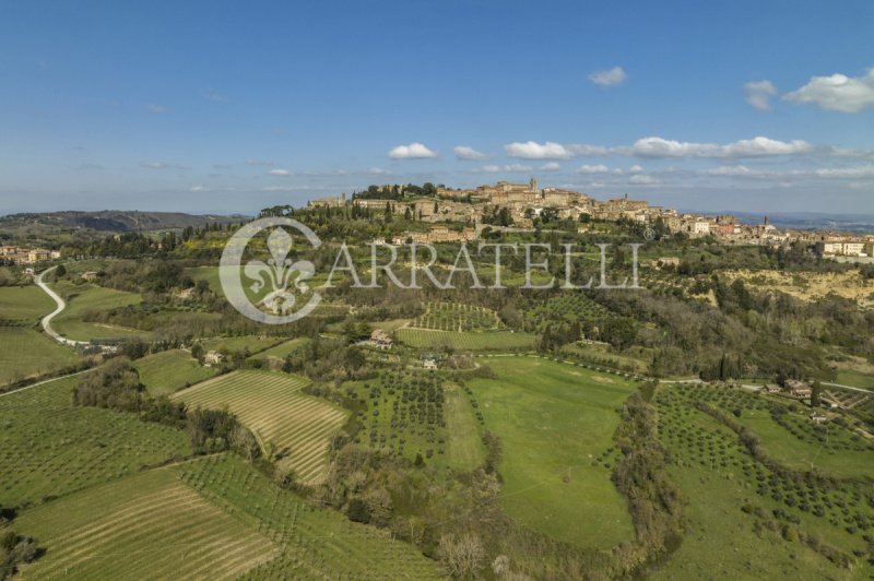 Lantgård i Montepulciano