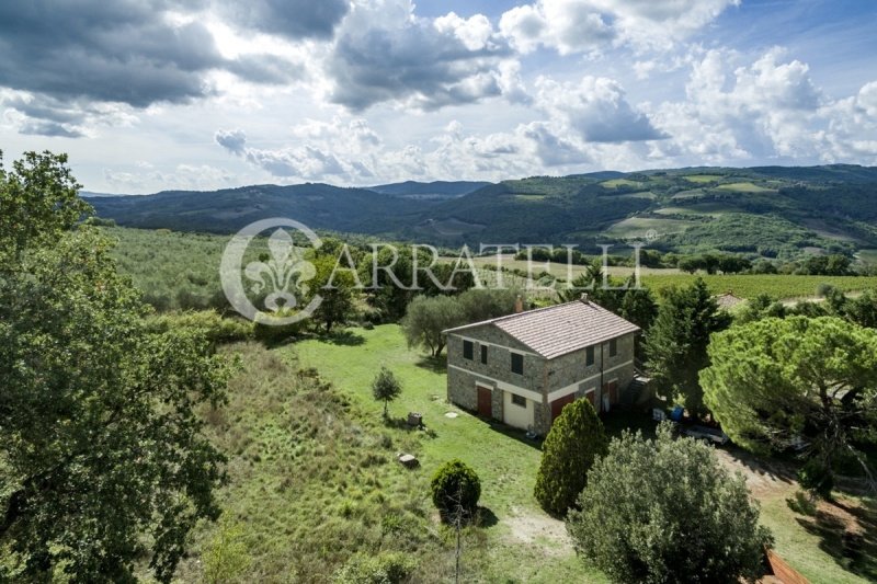 Lantställe i Castiglione d'Orcia