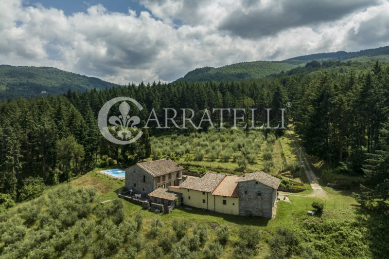 Lantställe i Pelago