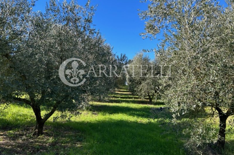 Quinta agrícola em Bomarzo