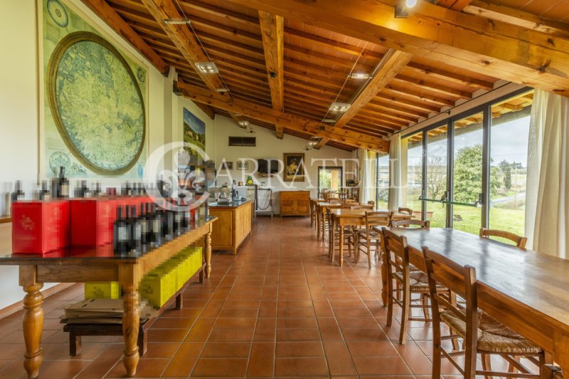 Explotación agrícola en Arezzo