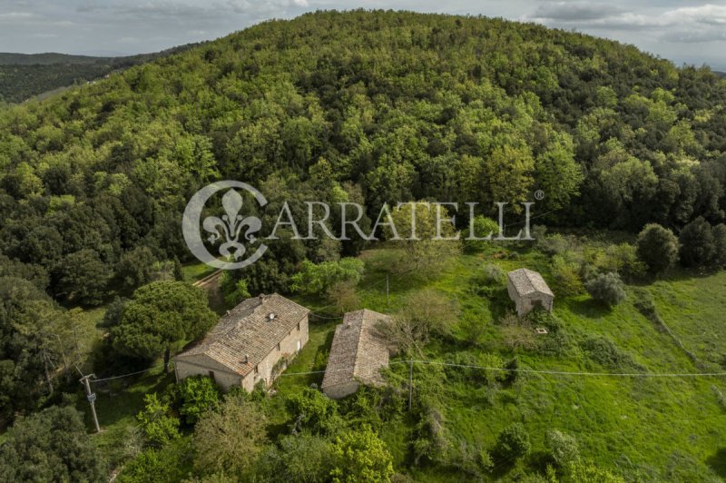 Farmhouse in Sovicille