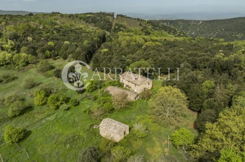 Cabaña en Sovicille