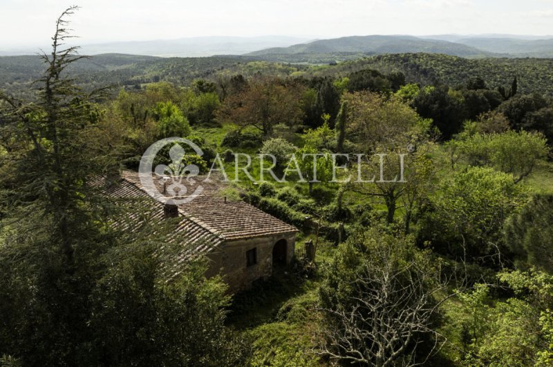 Farmhouse in Sovicille