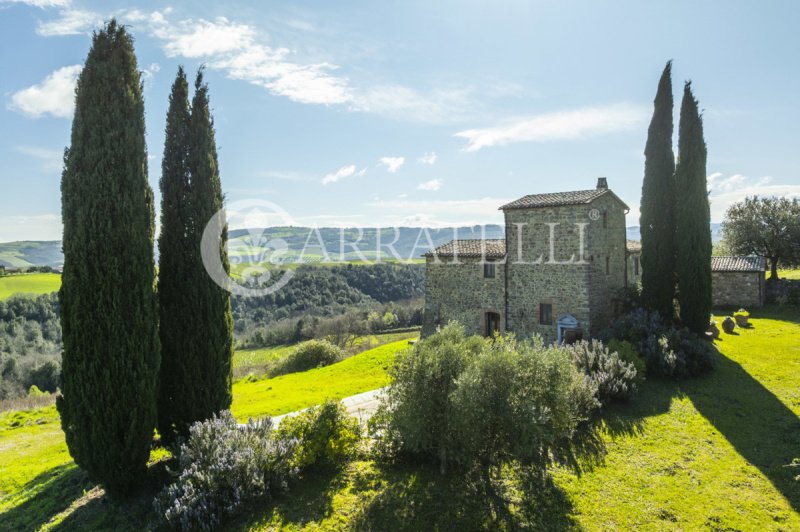 Lantställe i Montalcino