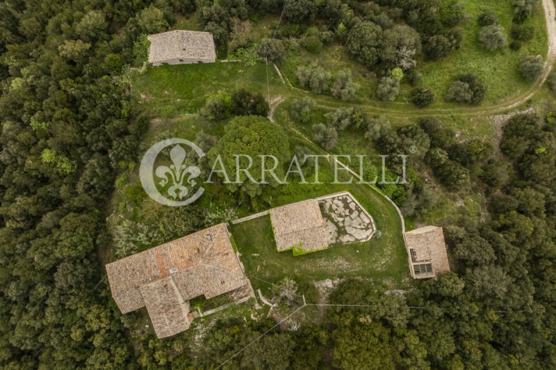 Farmhouse in Sovicille