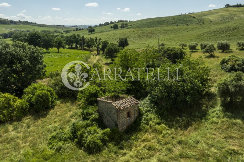 Farmhouse in Torrita di Siena