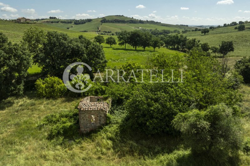 Solar em Torrita di Siena