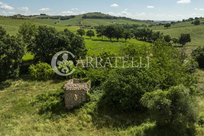 Casolare a Torrita di Siena