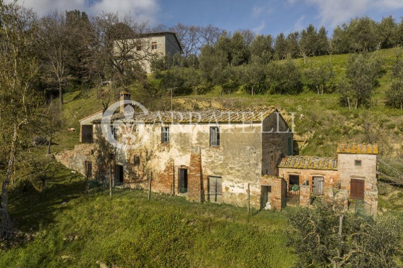 Lantställe i Montepulciano