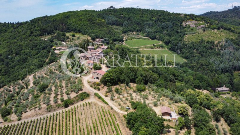 Azienda agricola a Gaiole in Chianti