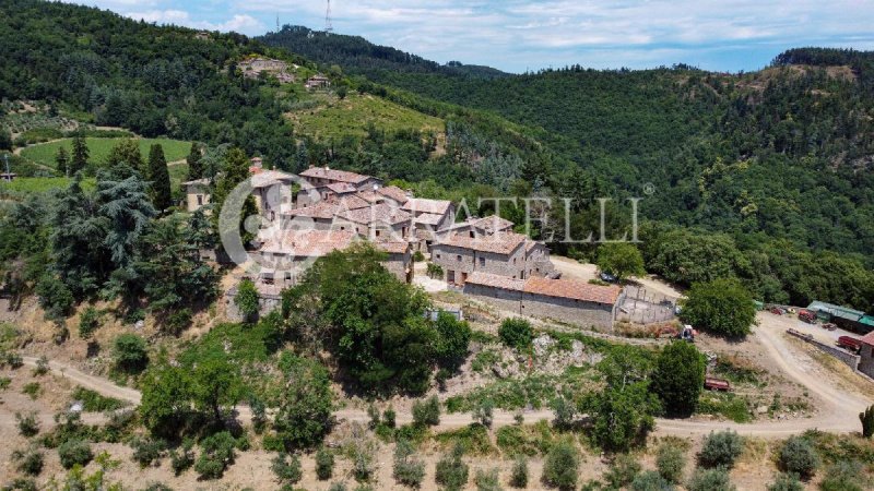 Exploitation agricole à Gaiole in Chianti