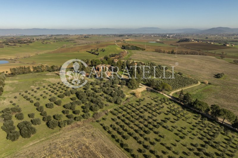 Kommersiell byggnad i Castiglione del Lago