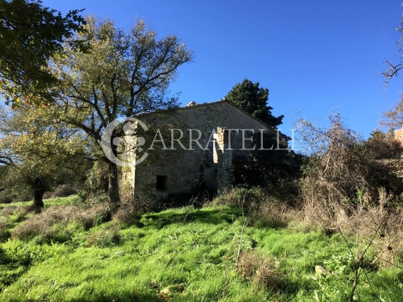 Lantställe i San Casciano dei Bagni