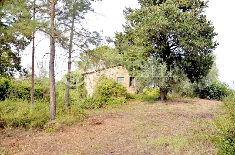 Cabaña en San Casciano dei Bagni