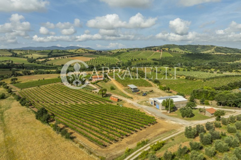 Klein huisje op het platteland in Grosseto