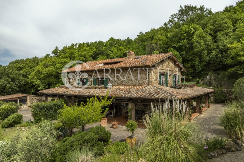 Bauernhaus in Roccalbegna