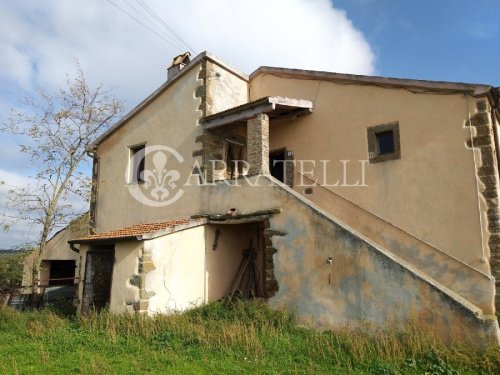 Farmhouse in Scansano