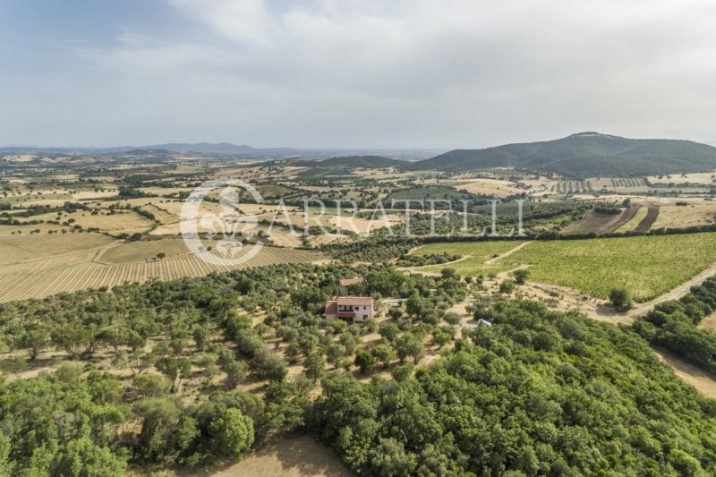 Exploitation agricole à Campagnatico