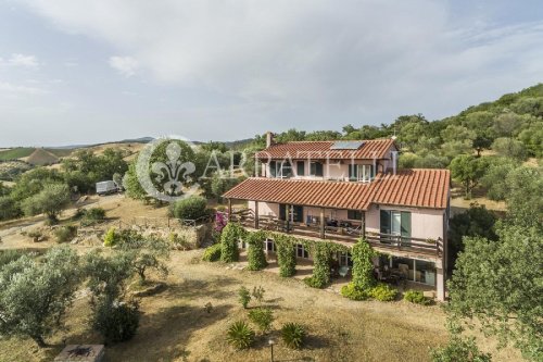 Landwirtschaftlicher Betrieb in Campagnatico