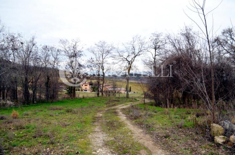 Klein huisje op het platteland in Montepulciano