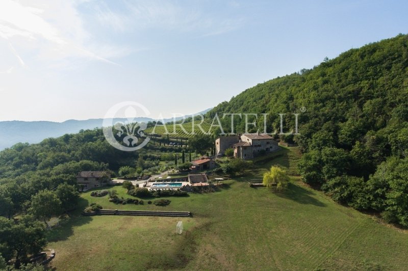 Farmhouse in Greve in Chianti