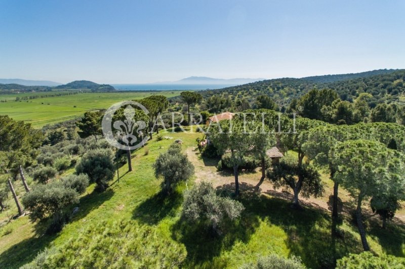 Lantställe i Orbetello