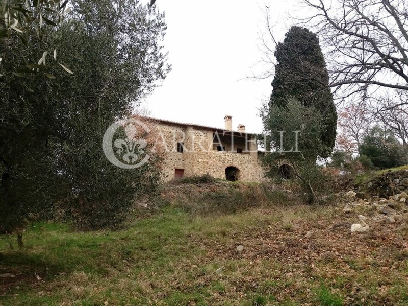 Bauernhaus in Castel del Piano