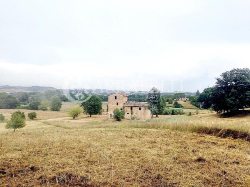 Lantställe i Gambassi Terme