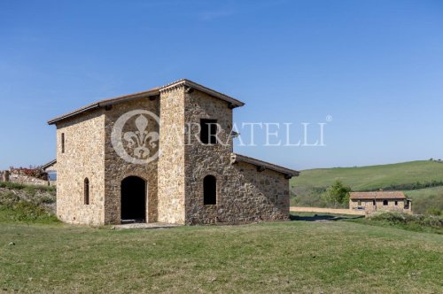 Lantställe i Montalcino