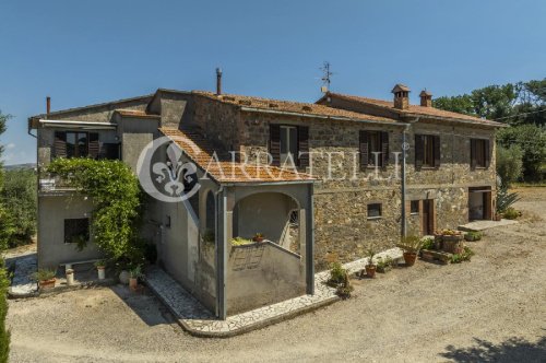 Azienda agricola a Cinigiano