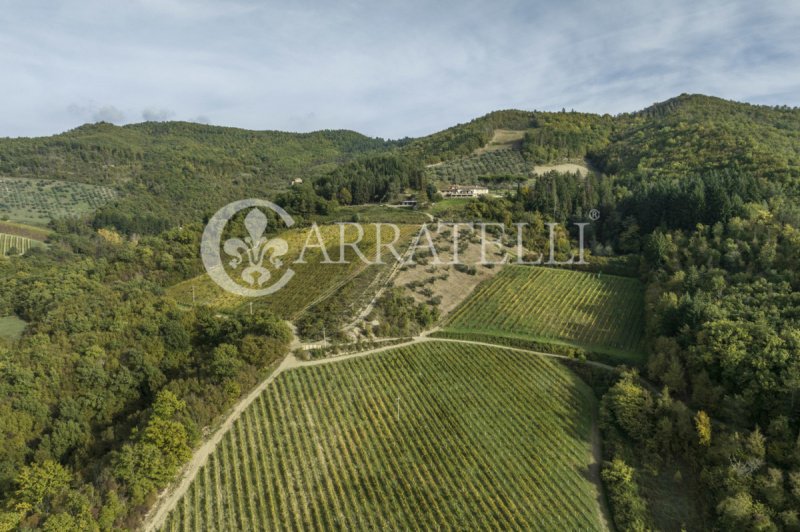 Farmhouse in Dicomano