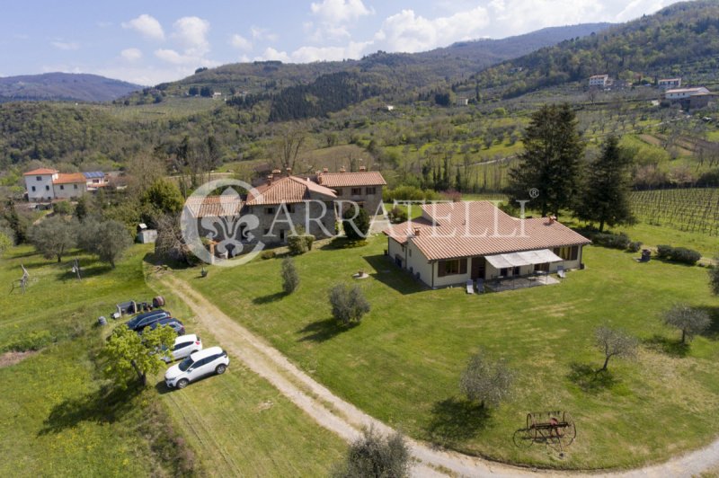 Farmhouse in Pelago